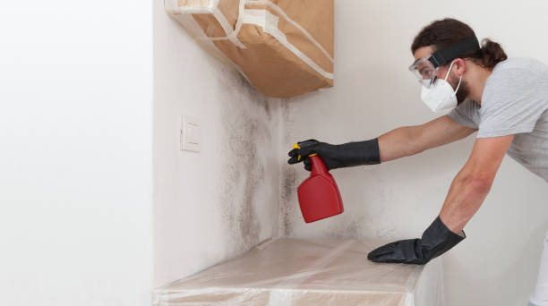 Professional Mold Testing technician working in Lawrenceville, GA
