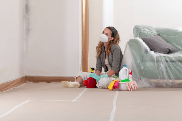 Reliable Mold Testing contractor in Lawrenceville, GA by WQB Mold Removal